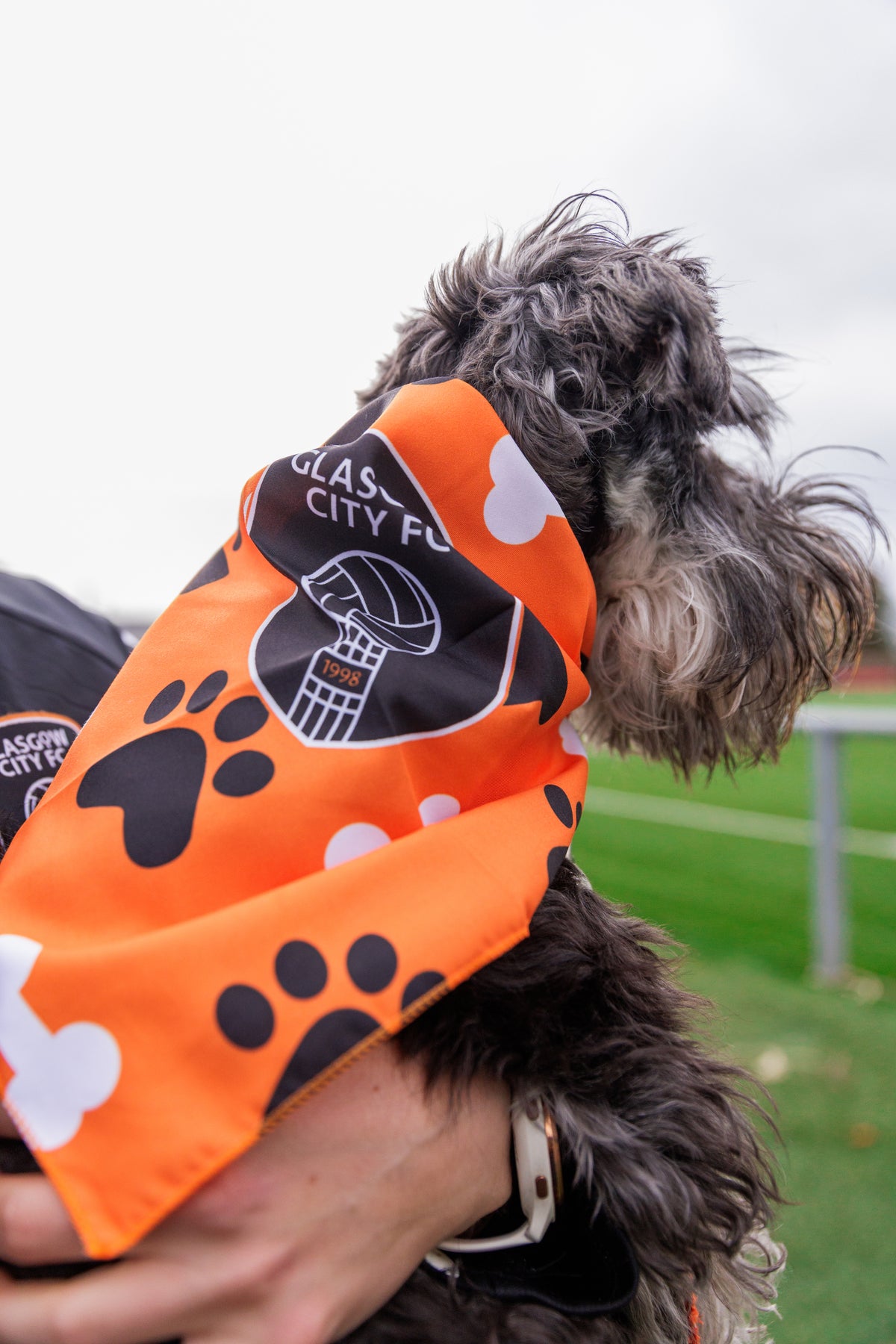 City Bandana