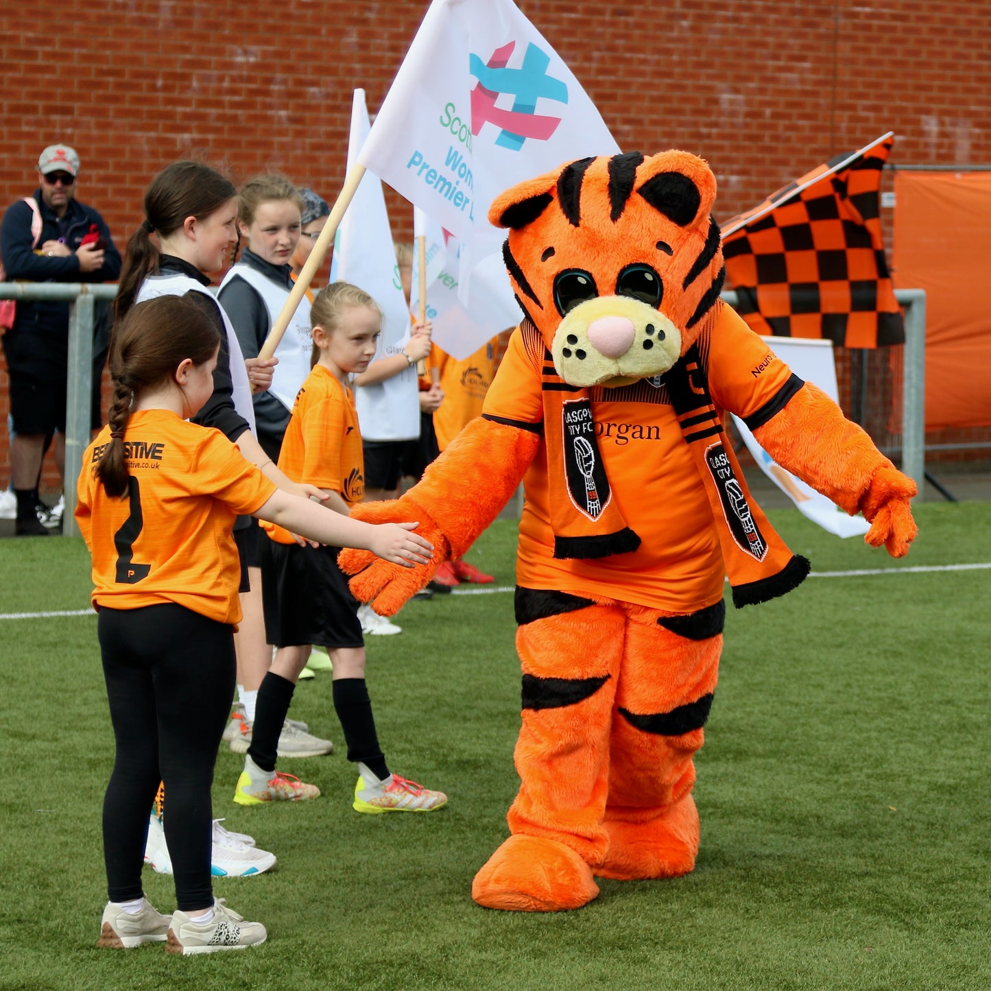 Mascot Sponsor - Match Day